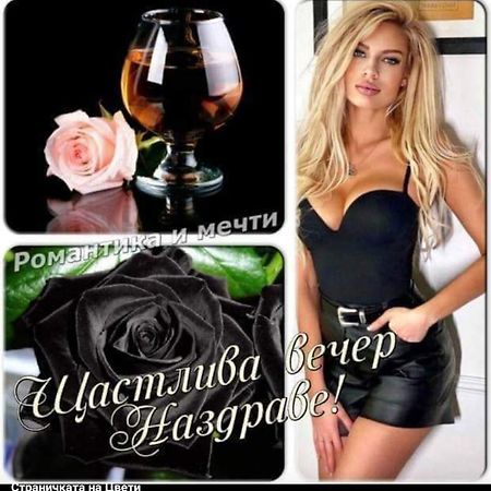 Къща За Гости "Черната Роза" Bŭlgarevo Dış mekan fotoğraf